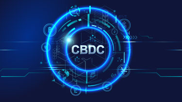 Central Bank Digital Currency