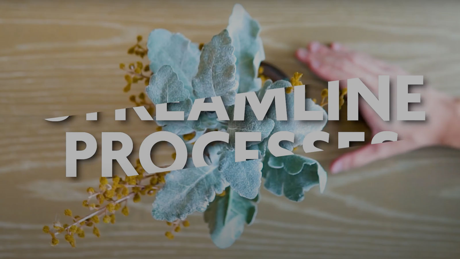 Jom Transform Programme