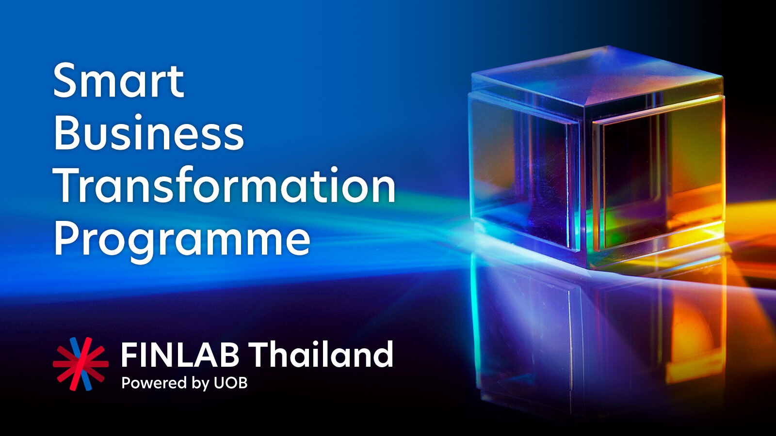 Smart Business Transformation Program