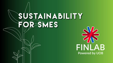 The FinLab - Sustainability Innovation Programme 