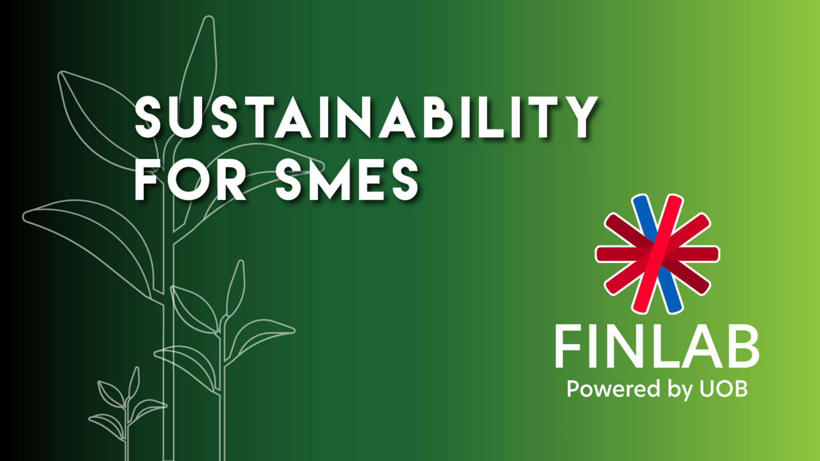 The FinLab - Sustainability Innovation Programme